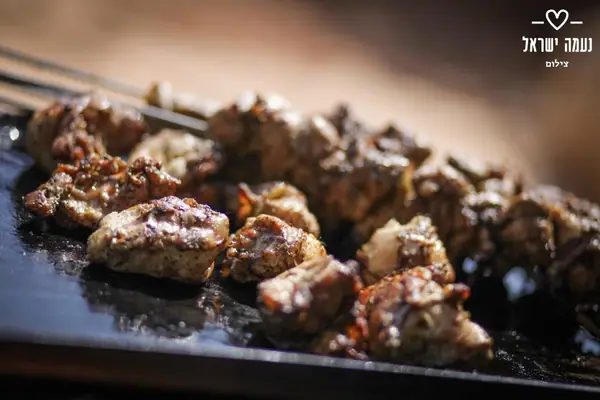 נתחי בשר צלויים על פלטה חמה